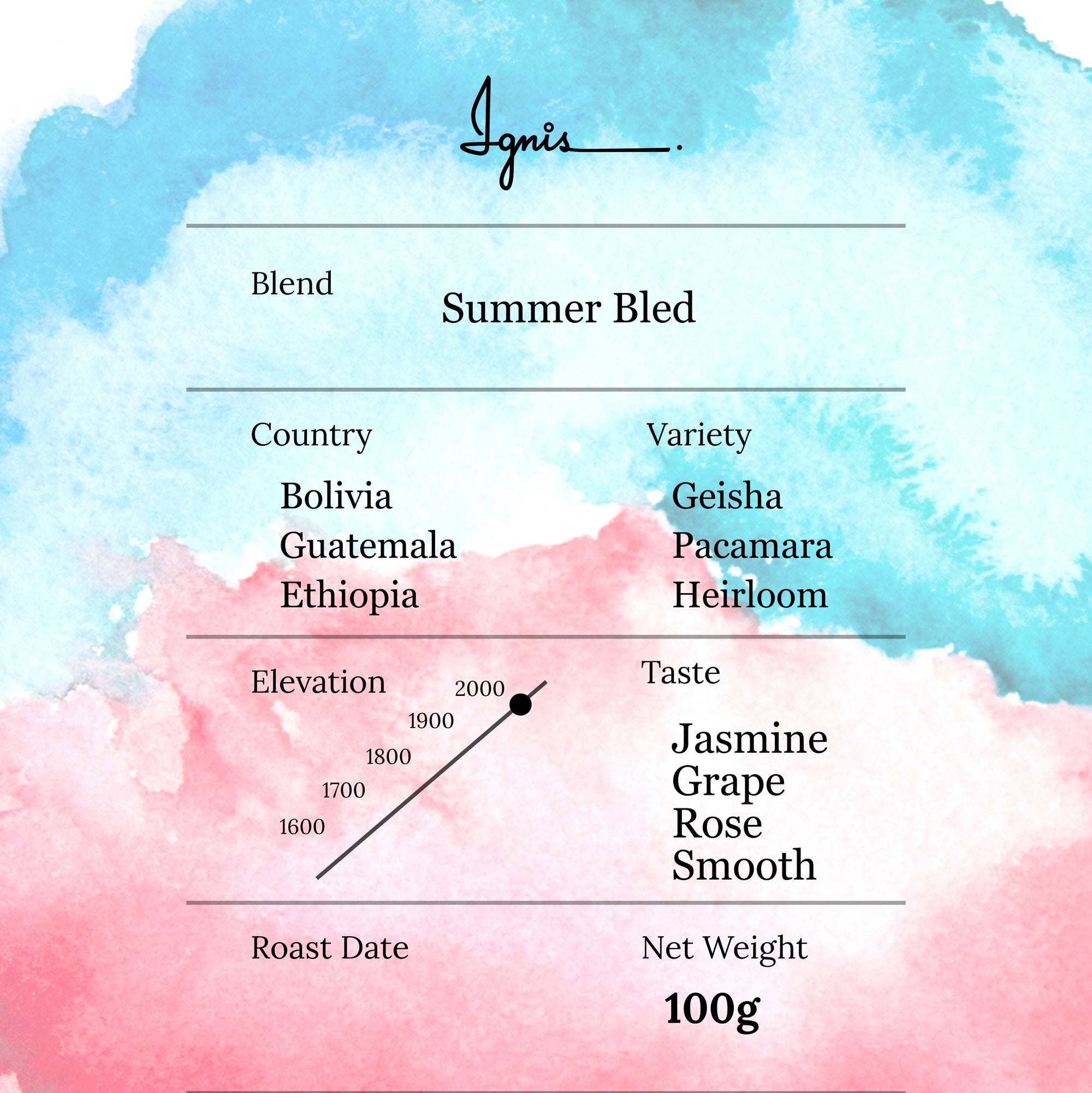 Summer Blend 2026 -Bolivia Guatemala Ethiopia-