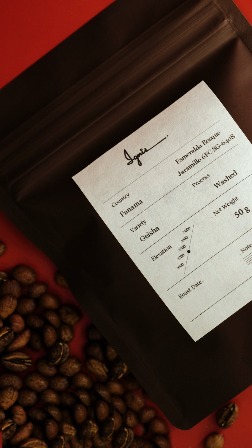 Panama Geisha  / Esmeralda Bosque Jaramillo 6FC SG-6408