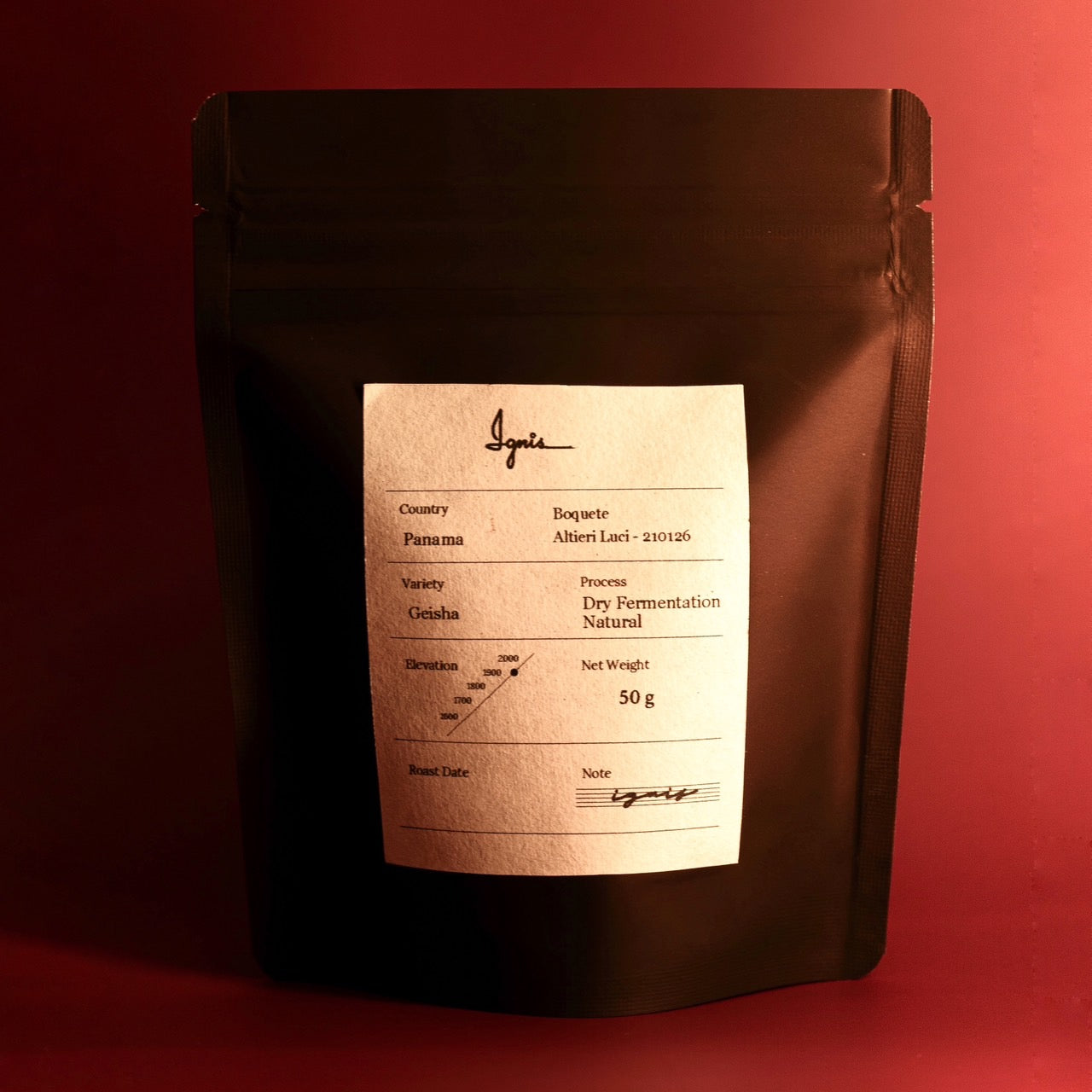 Panama Geisha / Altieri Lusi Dry Fermentation Natural