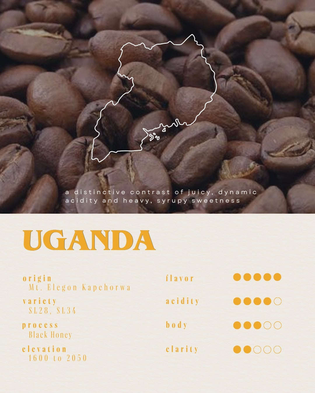 Uganda SL28,SL14 / Mount Kapchorwa Black Honey