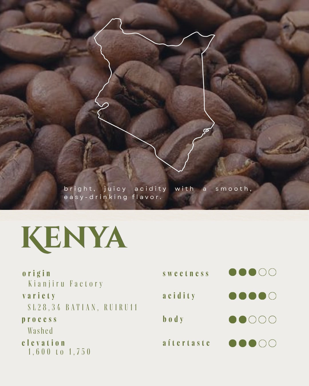 Kenya /  Kianjuru  SL28 / SL34 Washed