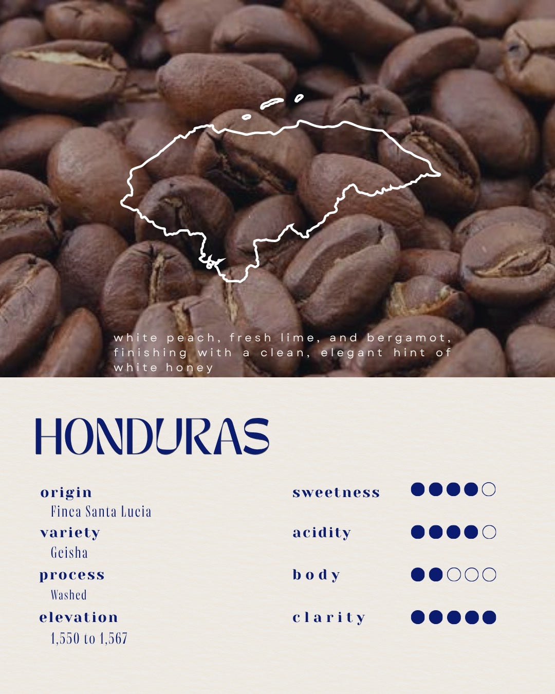 HONDURAS /  Santa Lucía Geisha - Washed -