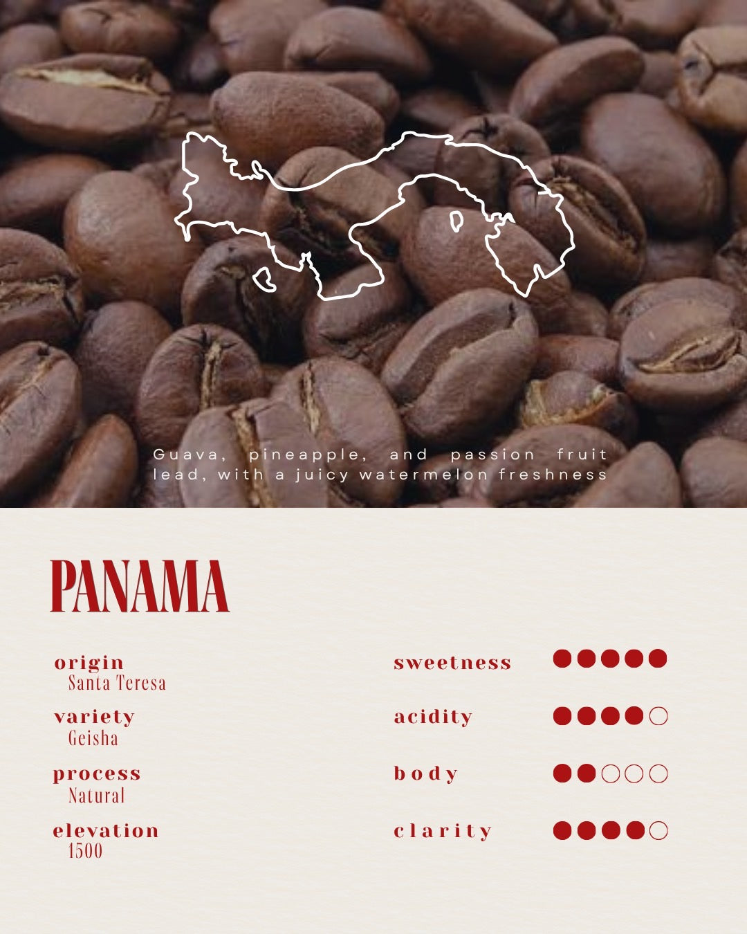 Panama /  Lost Origin × Finca Santa Teresa
