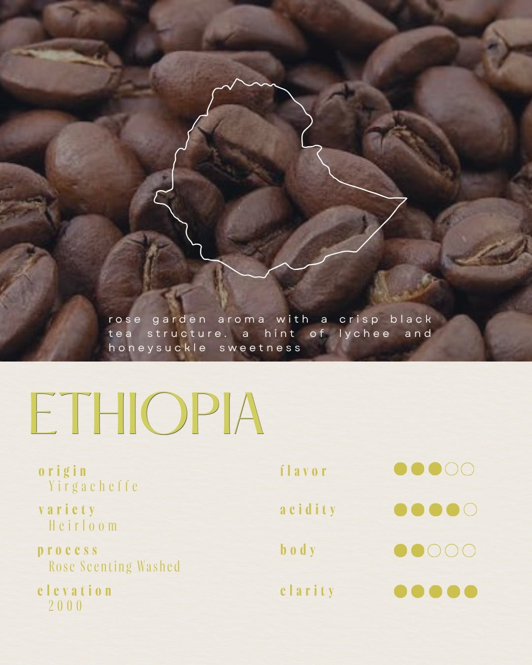 Ethiopia  / Rose Scenting Washed