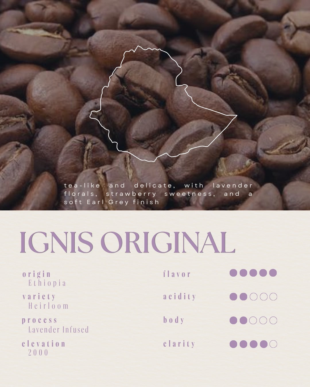 ignis Original / Floral (Lavender Infused)