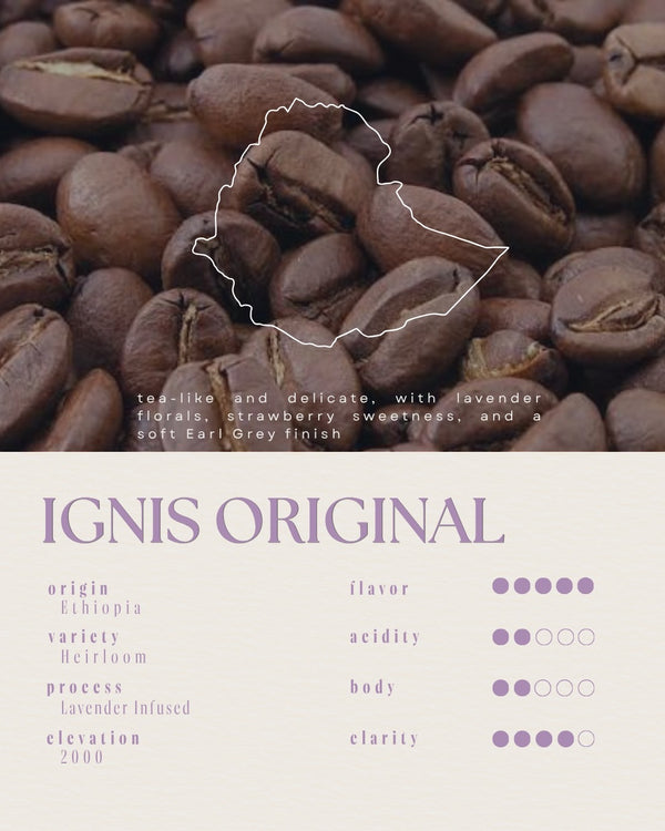ignis Original / Floral (Lavender Infused)